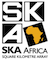 SKA South Africa